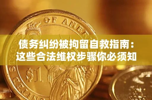 济南债务纠纷被拘留自救指南：这些合法维权步骤你必须知道！