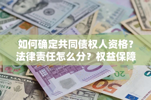 济南如何确定共同债权人资格？法律责任怎么分？权益保障技巧揭秘！
