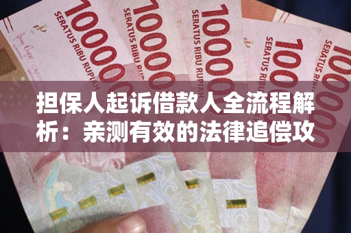 济南担保人起诉借款人全流程解析：亲测有效的法律追偿攻略