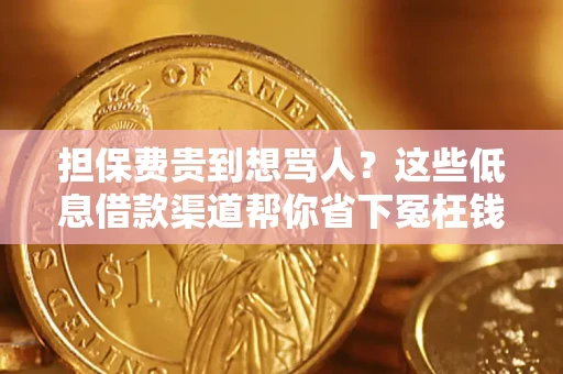 济南担保费贵到想骂人？这些低息借款渠道帮你省下冤枉钱