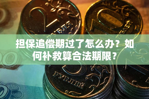 济南担保追偿期过了怎么办？如何补救算合法期限？