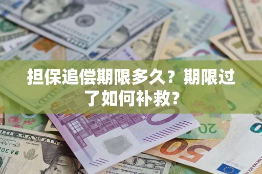 济南担保追偿期限多久？期限过了如何补救？