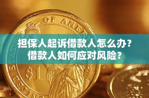 济南担保人起诉借款人怎么办？借款人如何应对风险？