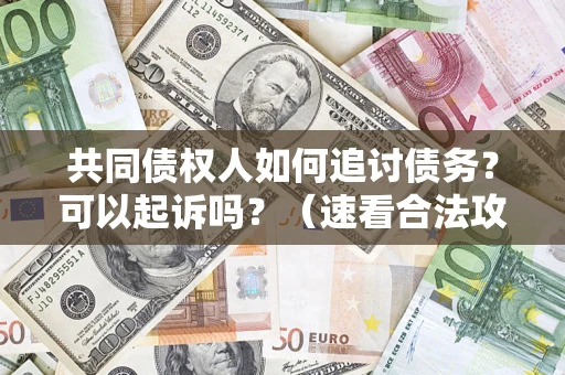 济南共同债权人如何追讨债务？可以起诉吗？（速看合法攻略）